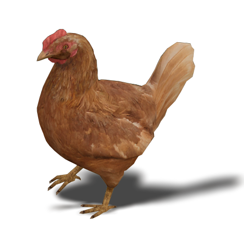 File:ChickenTrans.png